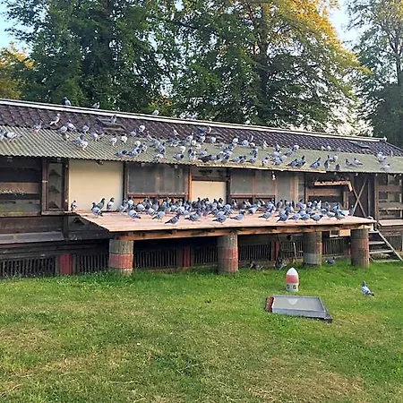 Hotel-restaurant Johanniskreuz