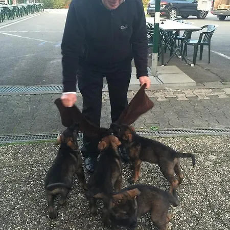 Hotel-restaurant Johanniskreuz 3*