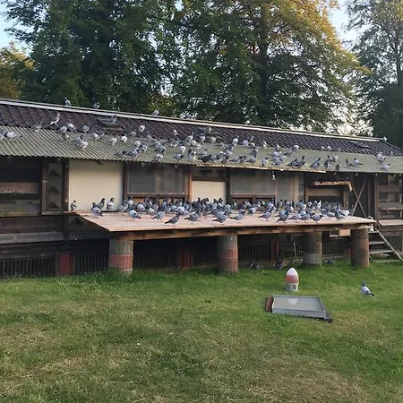 Hotel-restaurant Johanniskreuz 3* Trippstadt