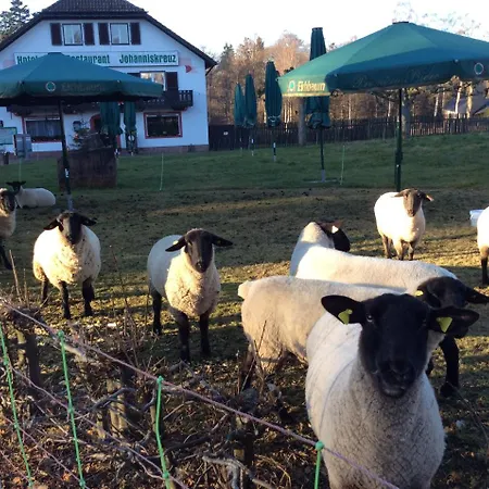 Hotel-restaurant Johanniskreuz