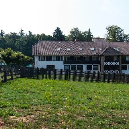 Hotel-restaurant Johanniskreuz Hotel 3*