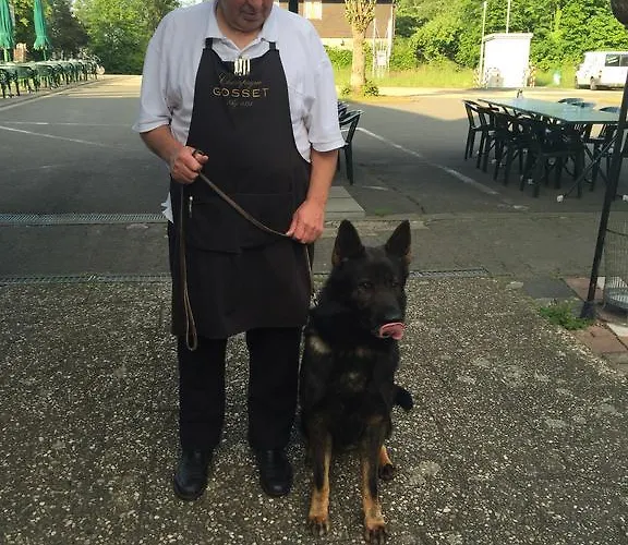 Hotel-restaurant Johanniskreuz 3*