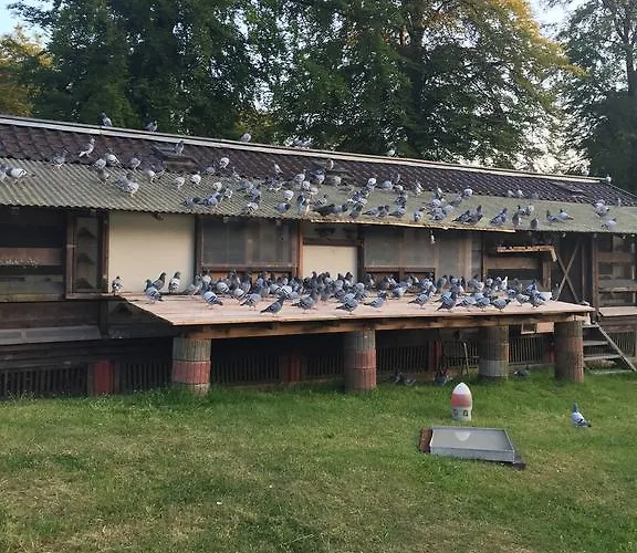 Hotel-restaurant Johanniskreuz 3* 트립스타트