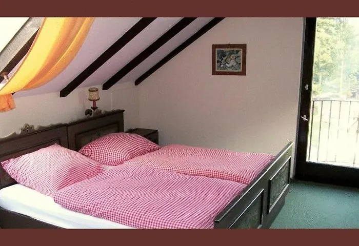 호텔 Hotel-restaurant Johanniskreuz 3*