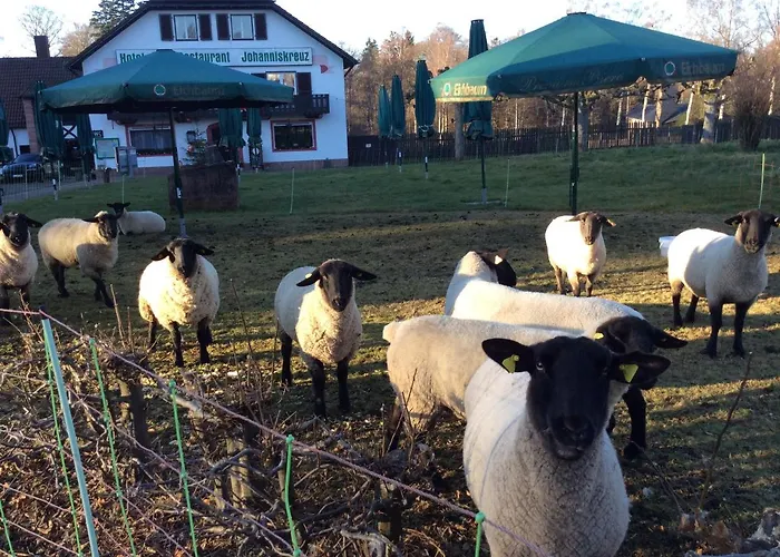 Hotel-restaurant Johanniskreuz