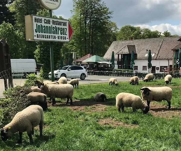 호텔 Hotel-restaurant Johanniskreuz 트립스타트