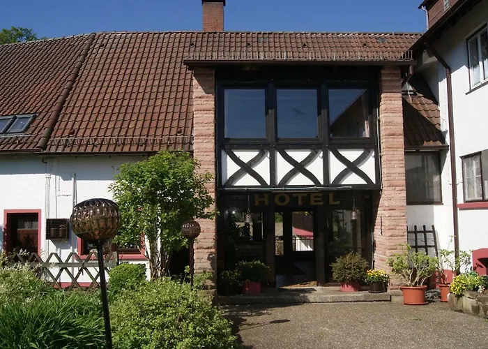 Hotel-restaurant Johanniskreuz 호텔 3*